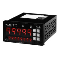 WSMT-VFD：Degital convert meter relay